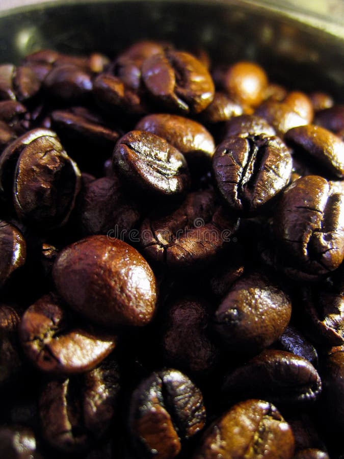 Many Dark Roast Coffee Bean Stock Image Image of macro, breakfast