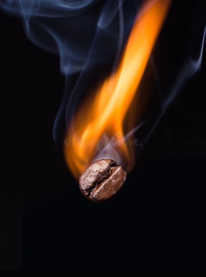 Coffee Bean Roasting In Fire Stock Illustration Image 55855663