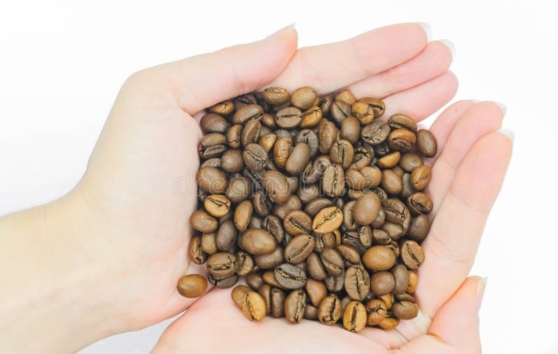 African Cherry Seed Stock Photos Free & RoyaltyFree Stock Photos