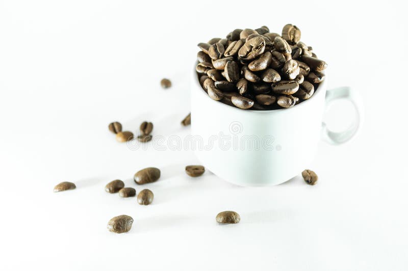 Coffee Bean Small Cup Full of Coffee Bean Isolated on White. Stock