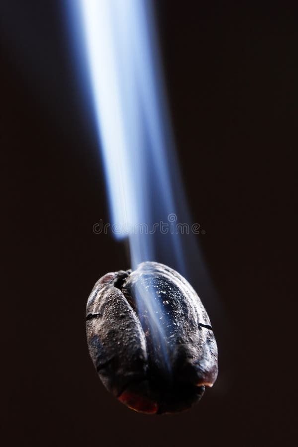 Coffee bean with smoke stock photo. Image of black, java 15440060