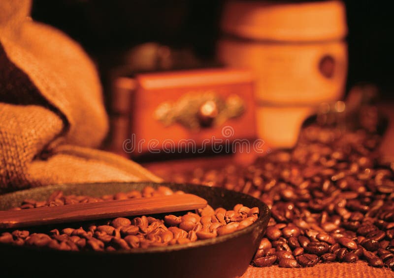 Old Coffee Grinder and Coffee with Cardamom. Stock Image Image of