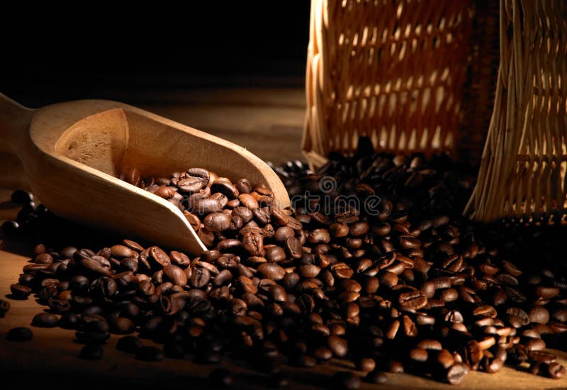 Coffee beans stock photo. Image of moody, bean, coffee 11268258