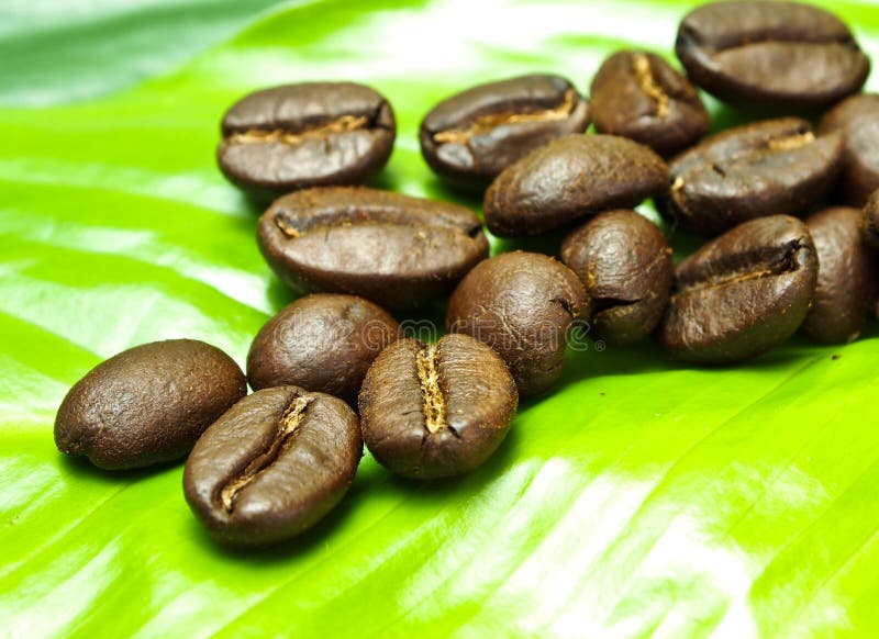 Coffee beans