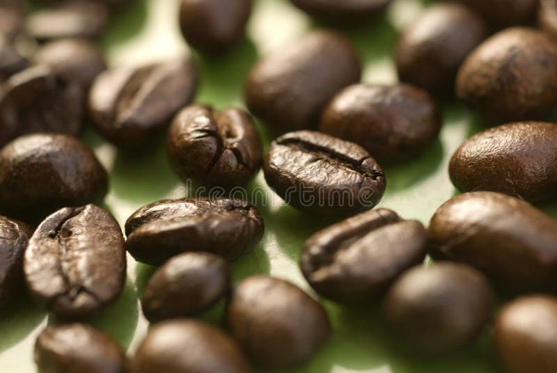 Coffee Beans 3