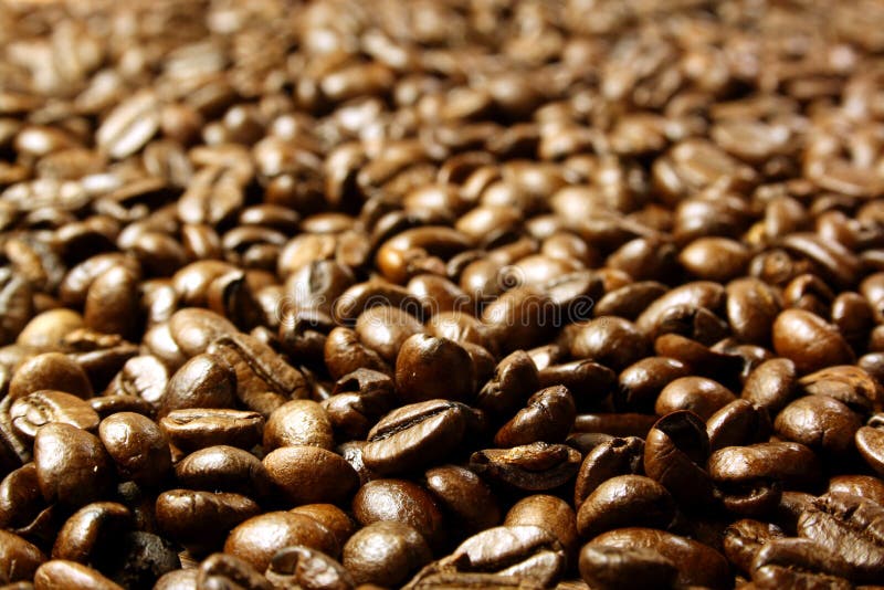 Coffee Beans Picture. Image 3952678