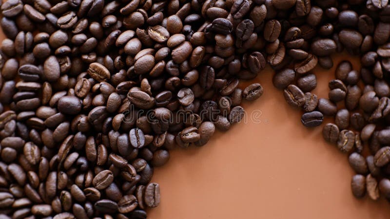 Coffee bean near me