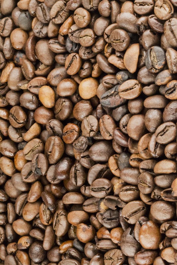 Coffee beans bio stock photo. Image of malta, chocolate 130247872