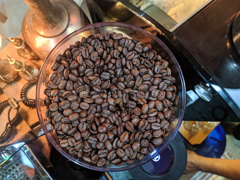 Coffee Beans in a Blender Container Stock Image Image of food, equipment 212541679