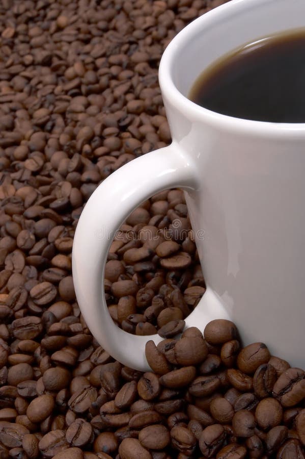 Coffee Beans and Brewed stock image. Image of thousands 215523