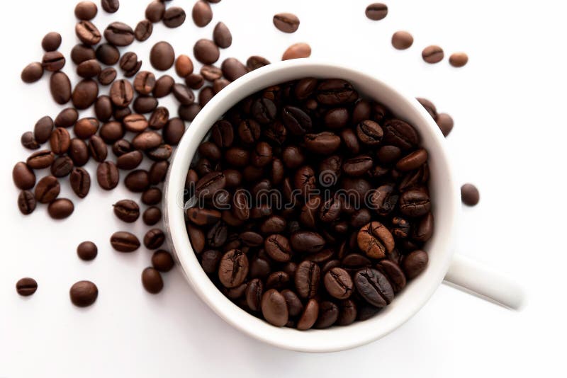 Coffee beans and Coffe Cup royalty free stock photo Coffee beans and Coffe Cup royalty free stock photo