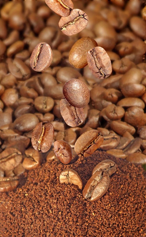Coffee Beans and Coffee Powder Stock Image Image of agriculture