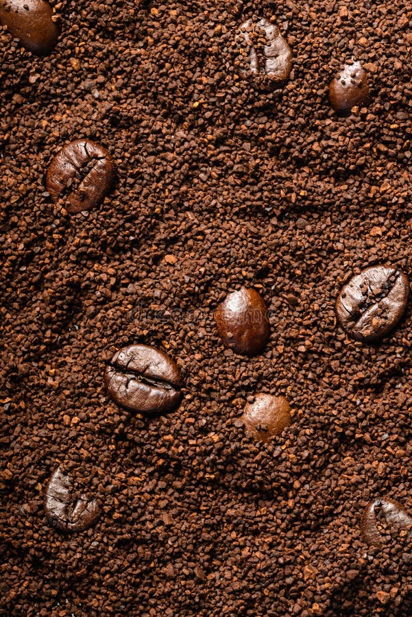Coffee Beans and Coffee Powder Stock Photo Image of ingredients