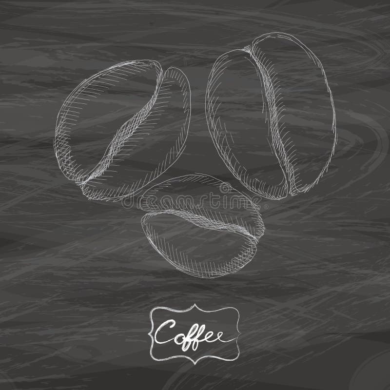 Coffee Beans Drawing with Chalk on Blackboard Stock Vector