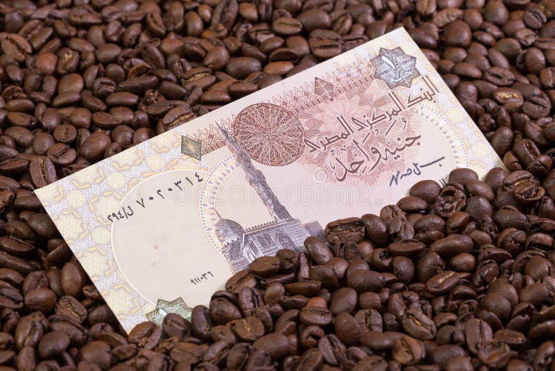 2,482 Egyptian Banknote Stock Photos Free & RoyaltyFree Stock Photos