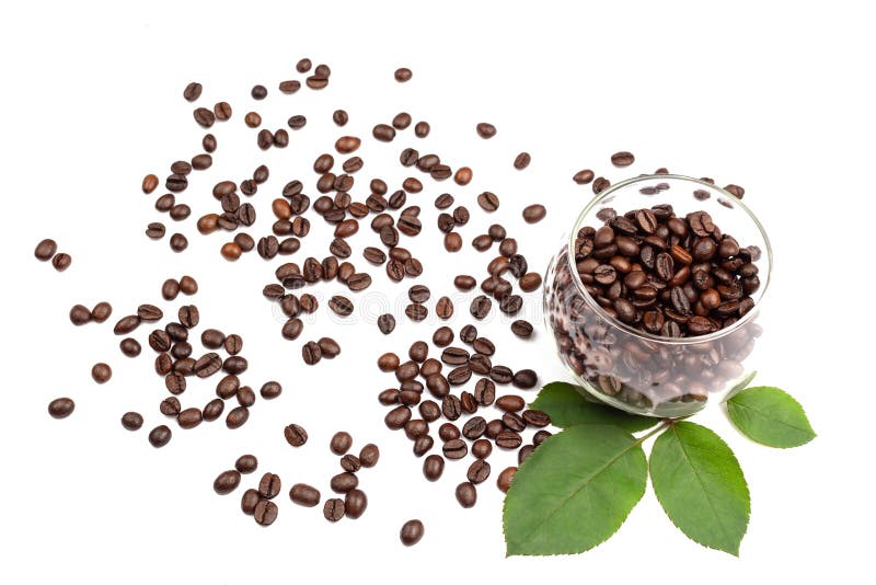 Coffee beans in the glass cup royalty free stock images Coffee beans in the glass cup royalty free stock images