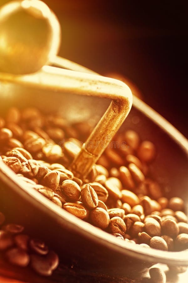 Coffee Beans in the Grinder Stock Photo Image of decoration, bean