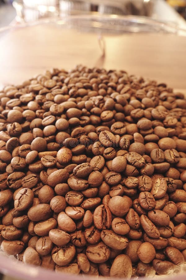 Coffee Beans in Coffee Grinder Stock Image Image of ingredient
