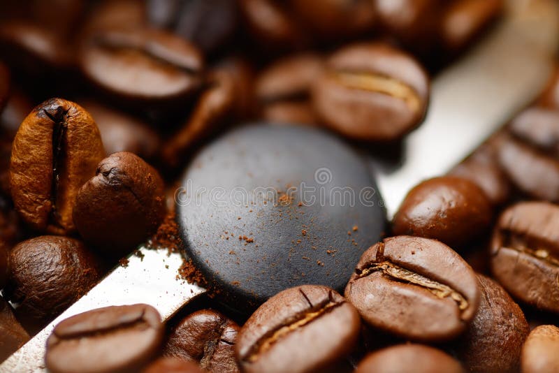 Coffee beans in grinder stock photo. Image of electrical 79268738