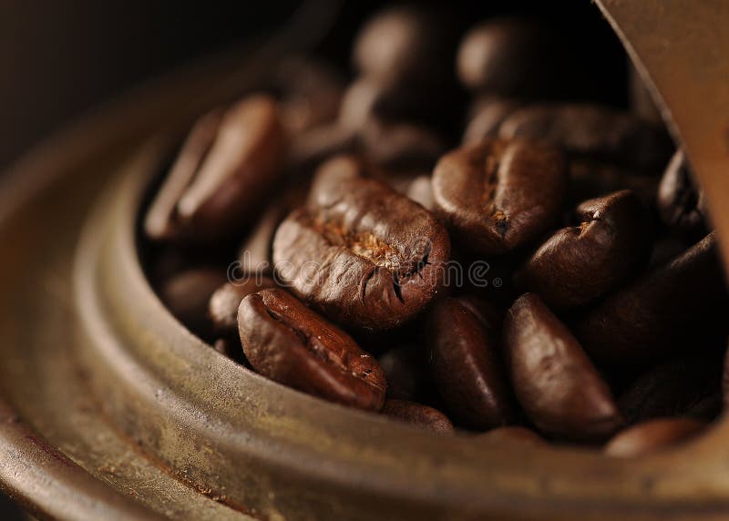 Coffee Beans in the Grinder Stock Image - Image of coffee, morning