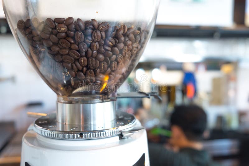 Coffee Beans in Coffee Grinder for Preparing To Grind Coffee Stock