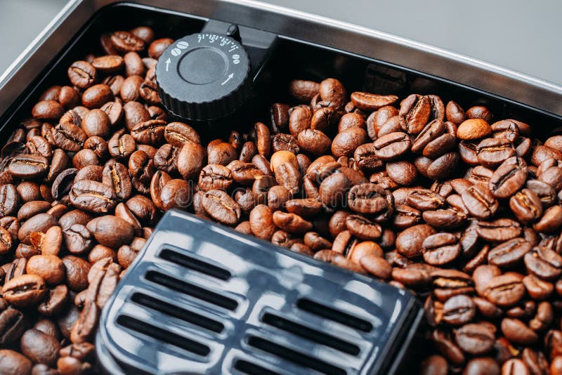 Coffee Beans Grinding in a Coffee Machine Grinder Stock Image Image