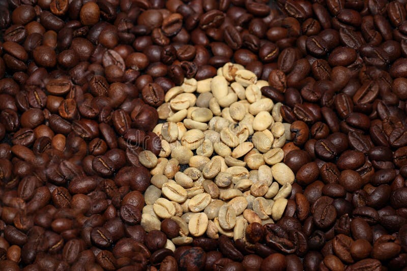Roasted Coffee Beans and a Coffee Grinder Stock Image Image of coffee