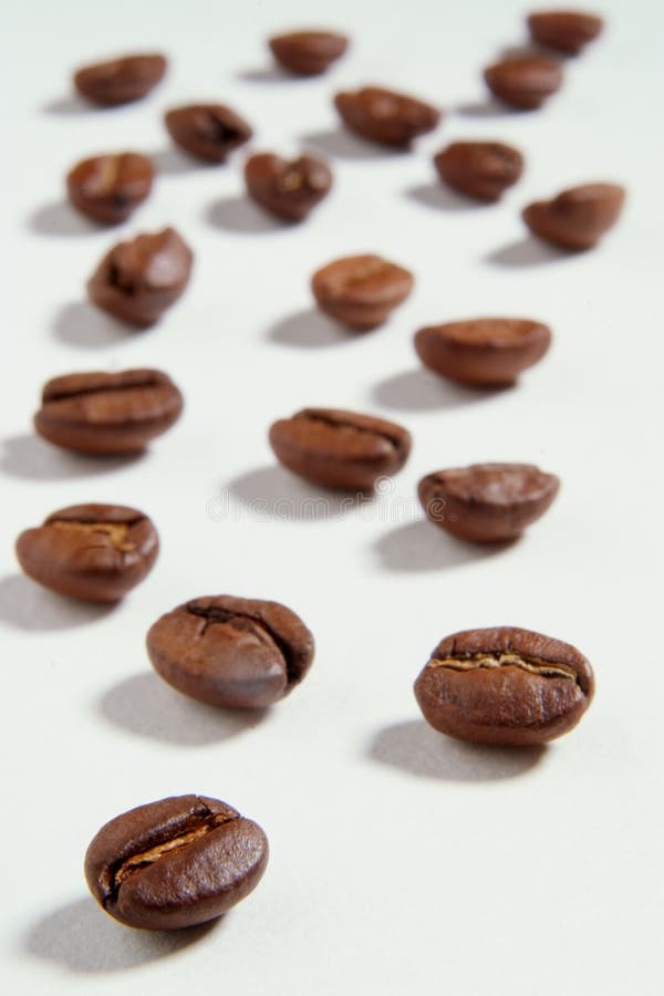 Coffee beans isolated on white