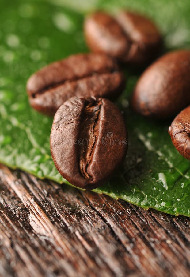 Coffee beans and leaf stock image. Image of coffee, cafe 28382375