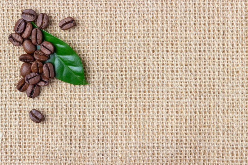 Coffee beans and leaf over burlap background royalty free stock image Coffee beans and leaf over burlap background royalty free stock image