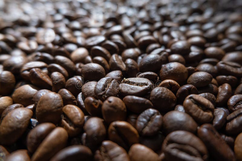 Coffee Beans, Low Angle Close Up with Shallow Focus / Depth of Field
