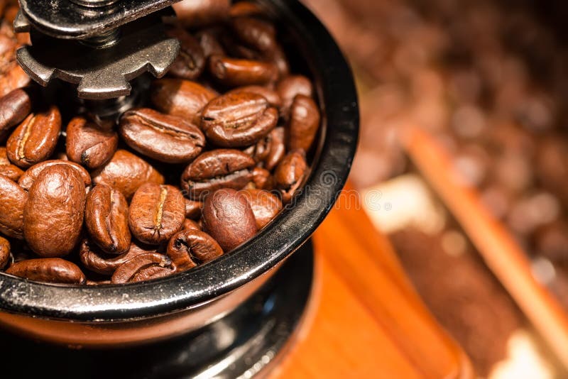 Coffee beans in a mill. stock photo. Image of cafe, grain 36727374