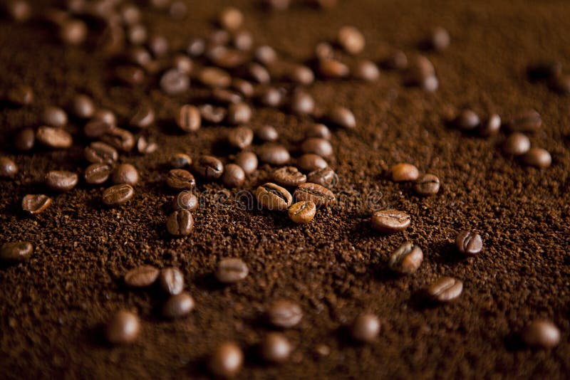 Coffee Beans on Coffee Powder Stock Image Image of addiction, dark