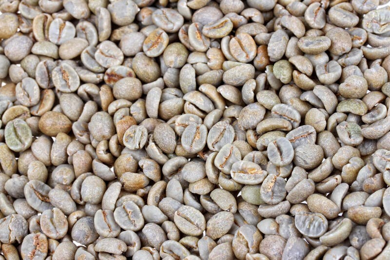 Coffee beans raw stock image. Image of roasting, ingredient 28538967