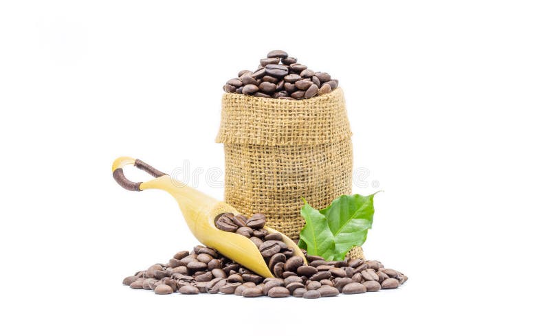 Coffee beans roasted in scoop beans and in sack with coffee leaves isolated on white background