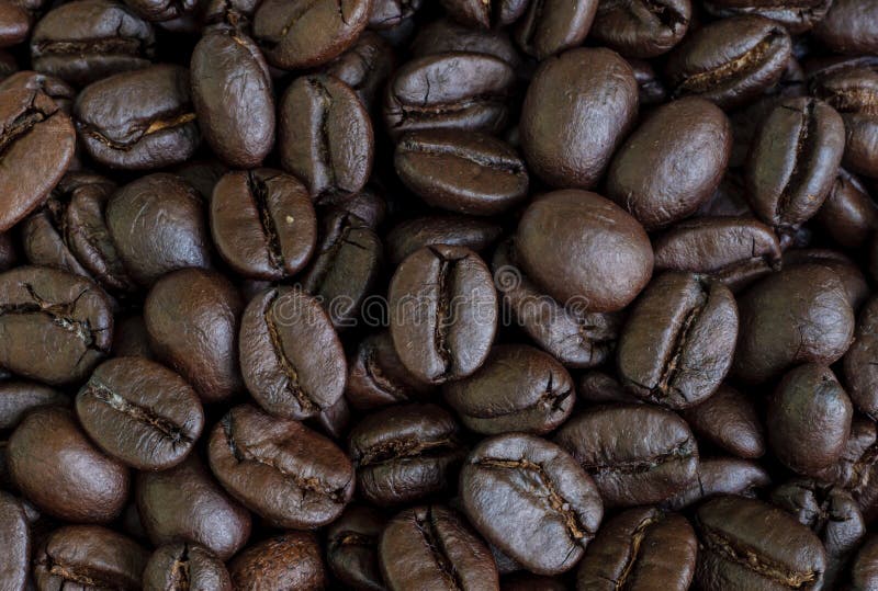 Coffee beans seed stock image. Image of group, agriculture 31851685