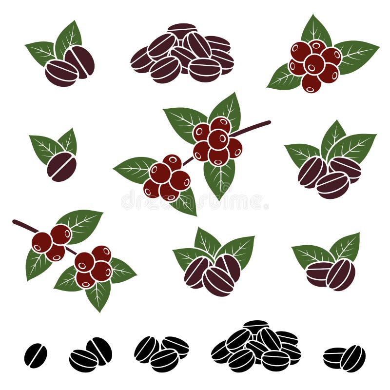 Coffee beans set. Vector