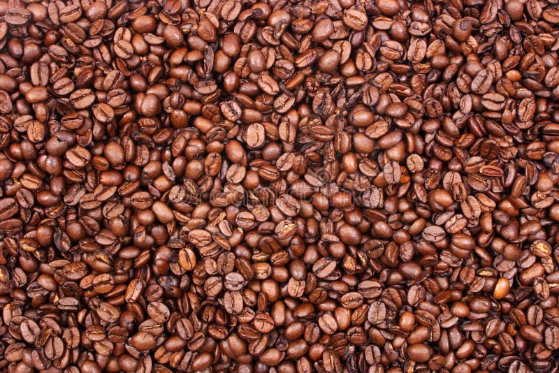 Coffee beans stock image. Image of nature, seed, morning 41490765