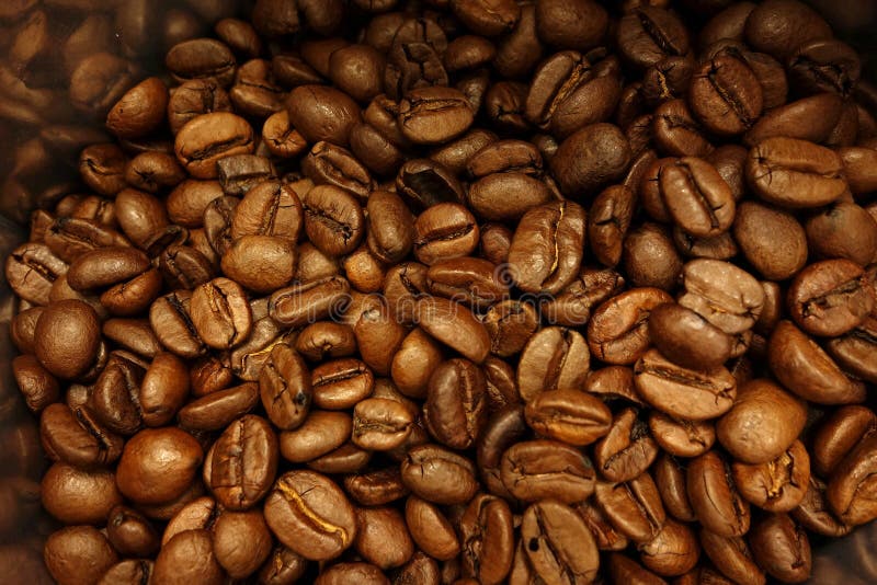 Some coffee beans in the kitchen interior