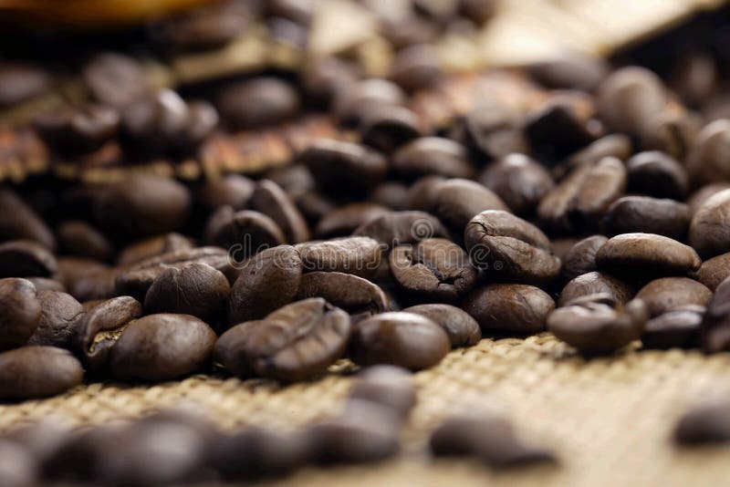 Some coffee beans in the kitchen interior