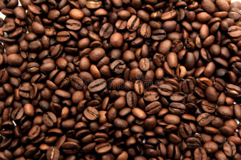 Coffee beans texture