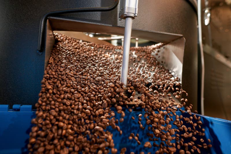 Coffee Beans Throw in Basket from Roasting Machine Stock Image Image of espresso, drink 251098729