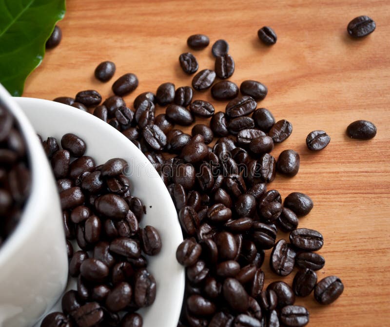White Coffee Beans Wholesale / Wholesale Coffee Beans Ireland Buy