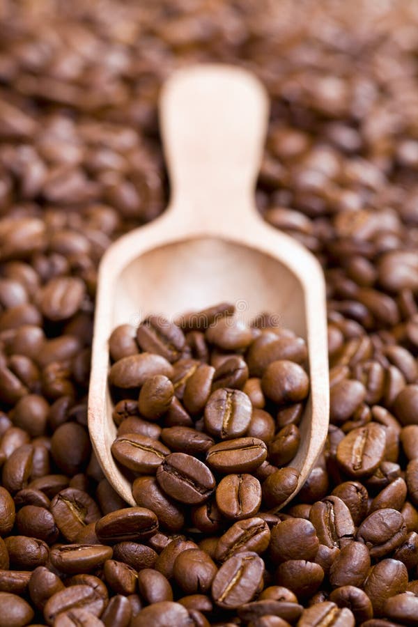 Coffee beans on wooden scoop