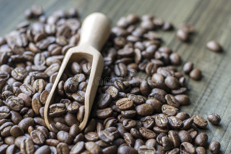 Coffee Beans with Wooden Scoop Stock Image Image of drink, aroma