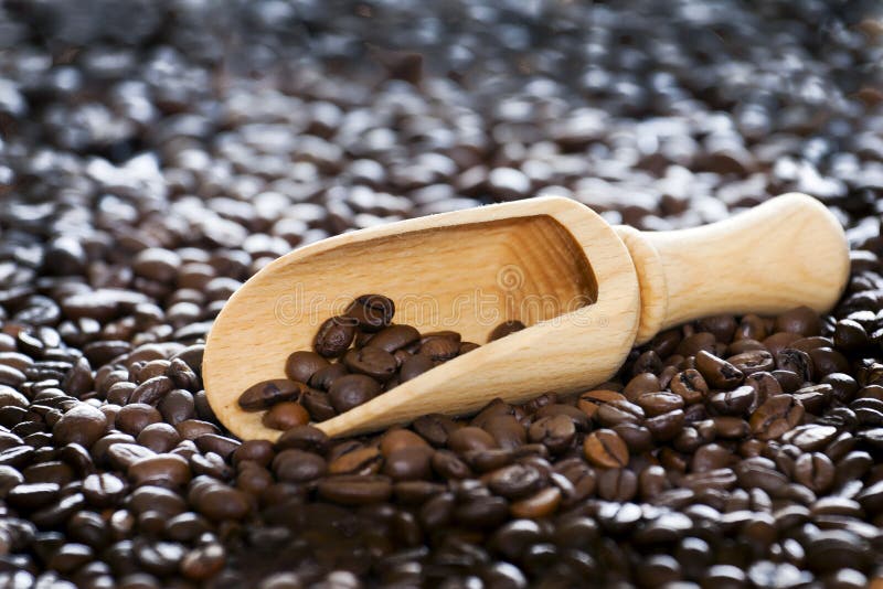 Coffee Beans on Wooden Spoon. Stock Image Image of brown, morning 30650459