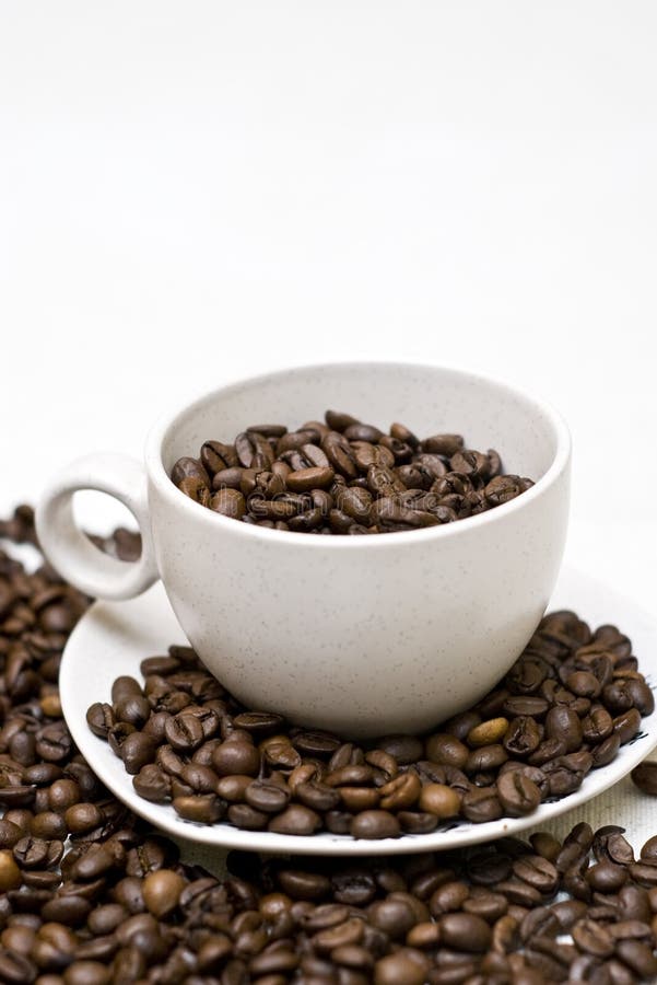 Coffee Beans in Cup stock photo. Image of modern, beans 25354124