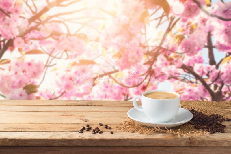 Coffee Cup with Coffee Beans on Wooden Table Over Blossom Cherry Tree
