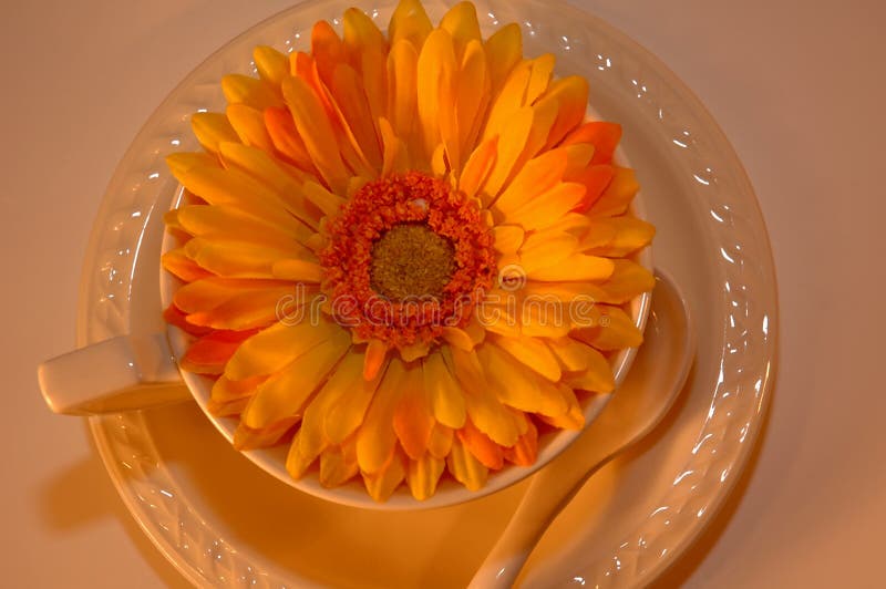 Coffee cup with flower inside 7