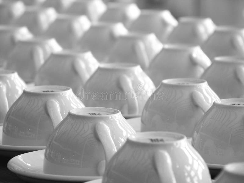 Coffee Cups royalty free stock images